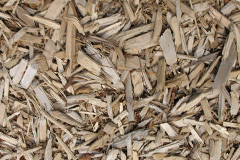 biomass boilers Ynysmaerdy