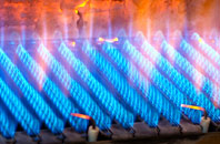Ynysmaerdy gas fired boilers